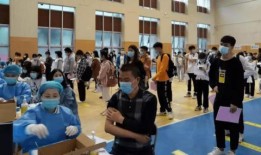 鲁美最新爆料消息,揭秘娱乐圈幕后真相，独家揭秘明星隐私与行业黑幕